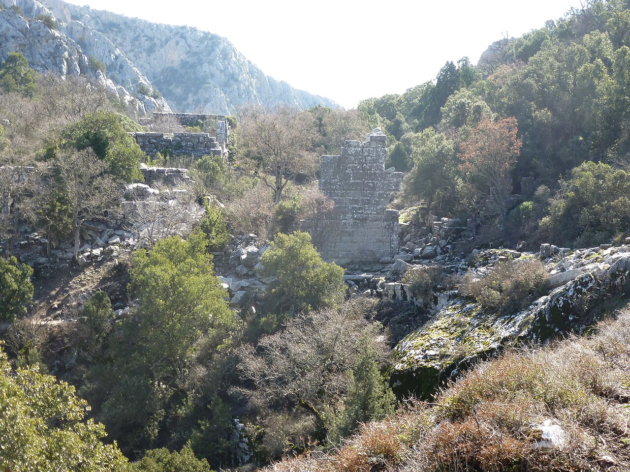 Termessos의 사진
