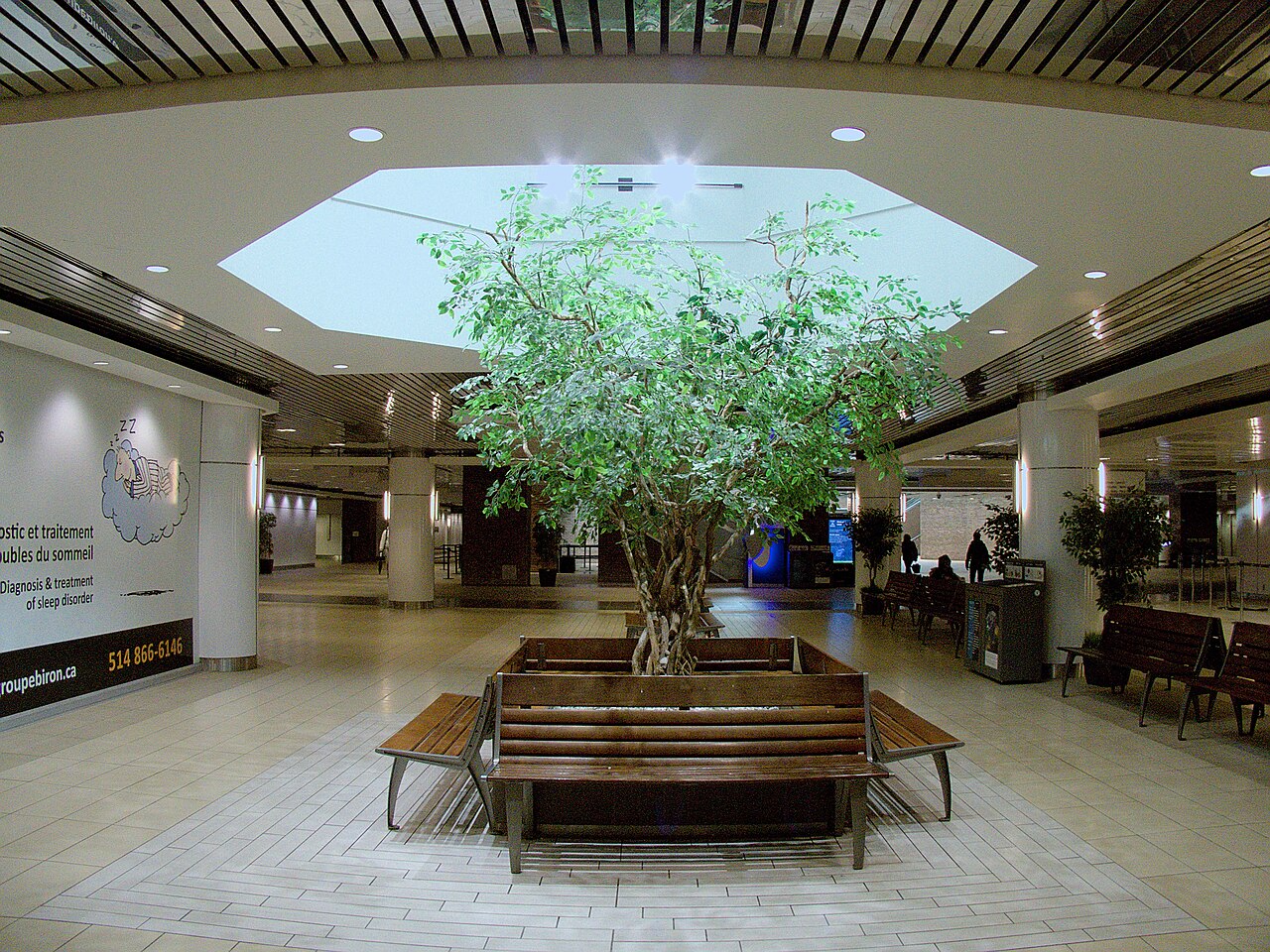 A photograph of Underground City