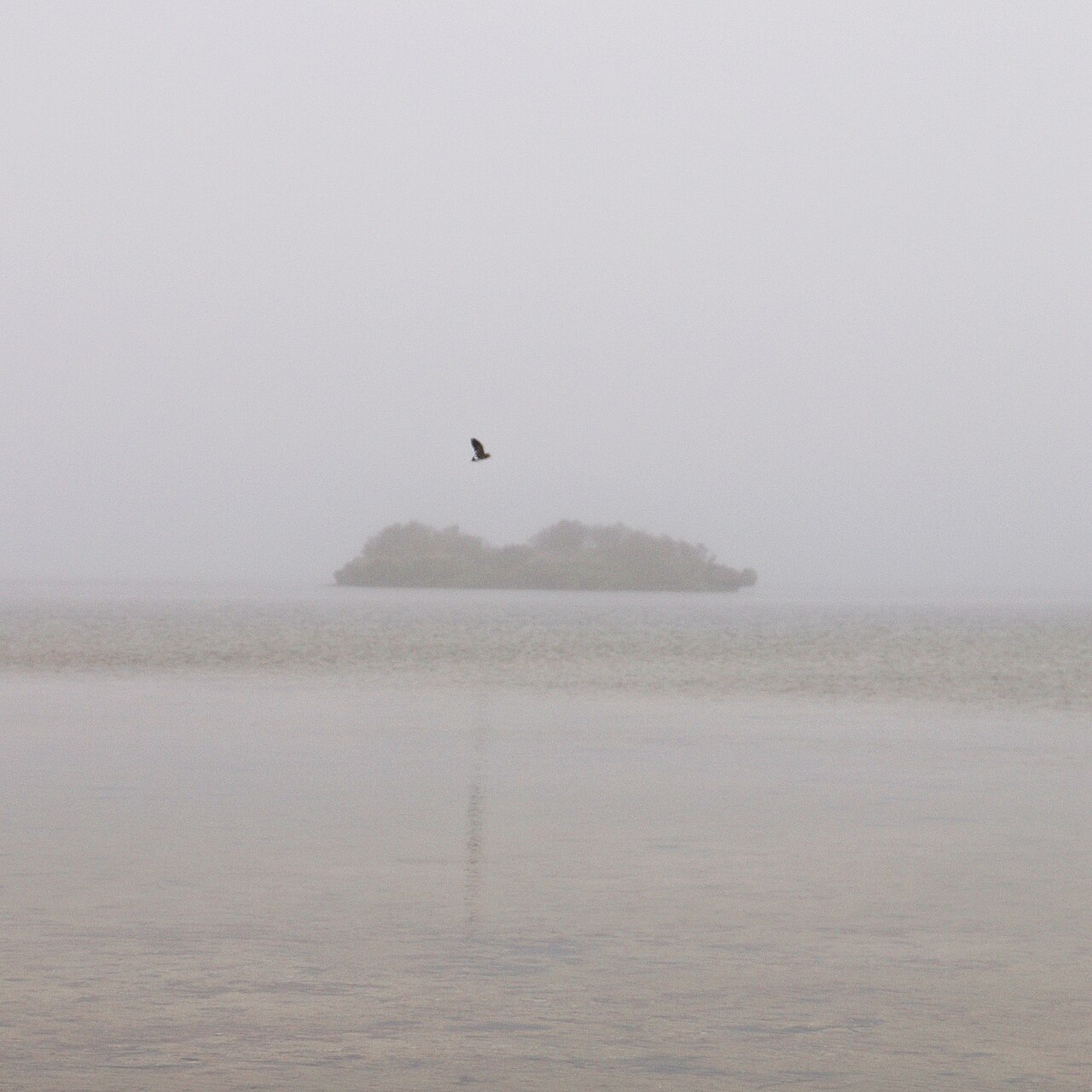 The Lagoon Conservation Area