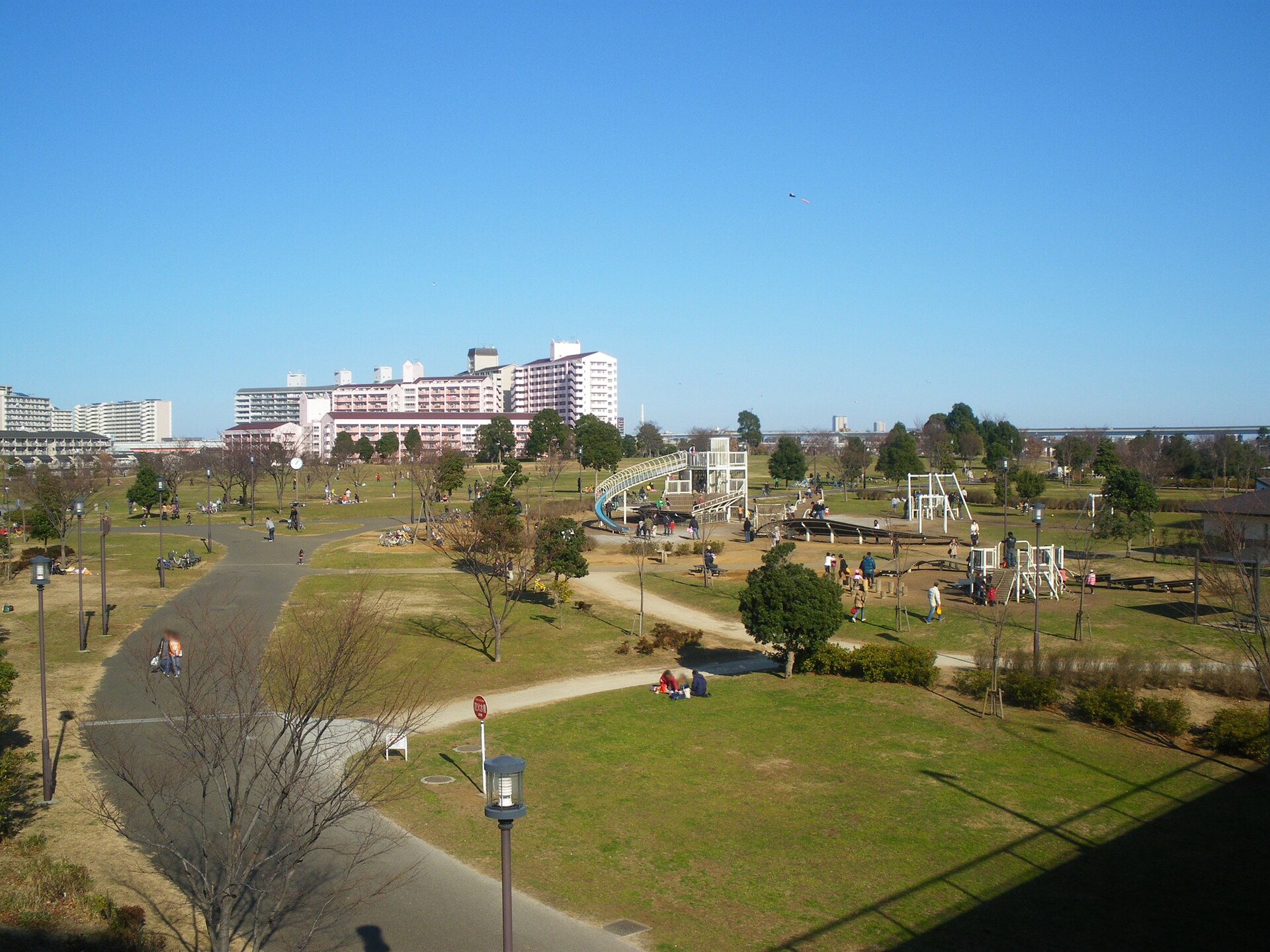 大島小松川公園