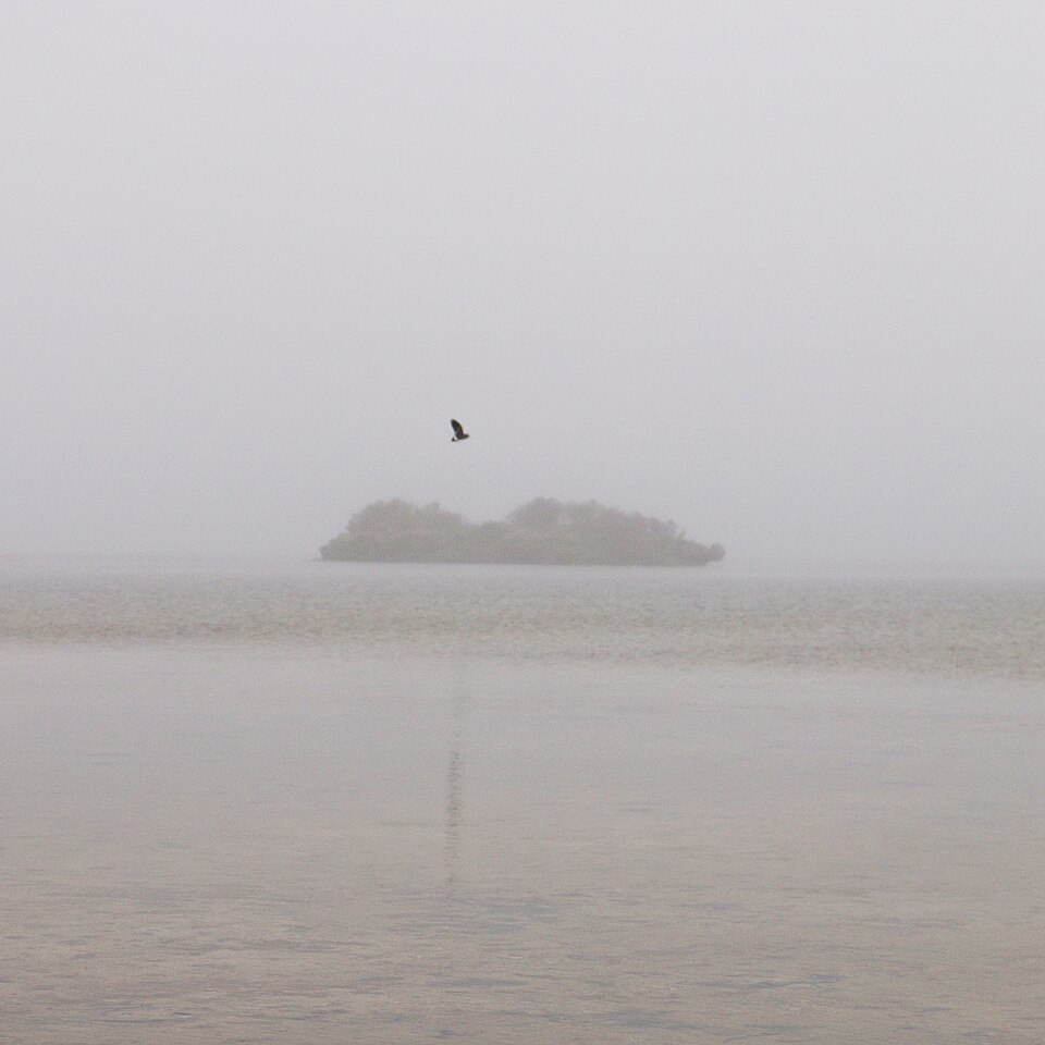 The Lagoon Conservation Area