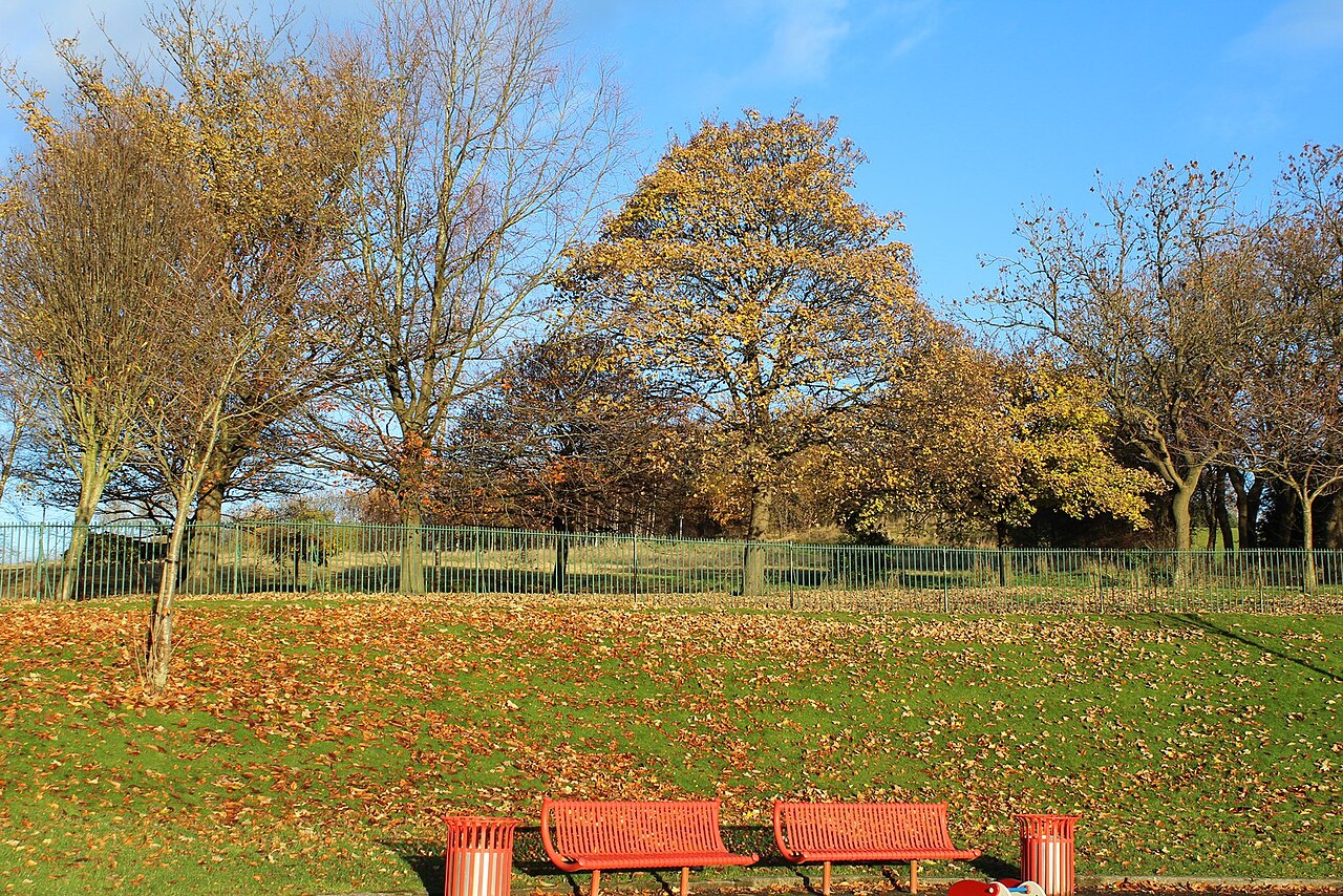 Alexandra Park の写真