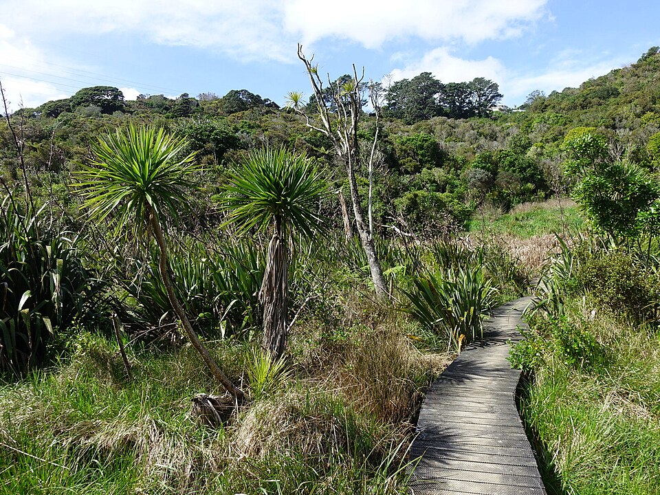 A photograph of Wattle Reserve