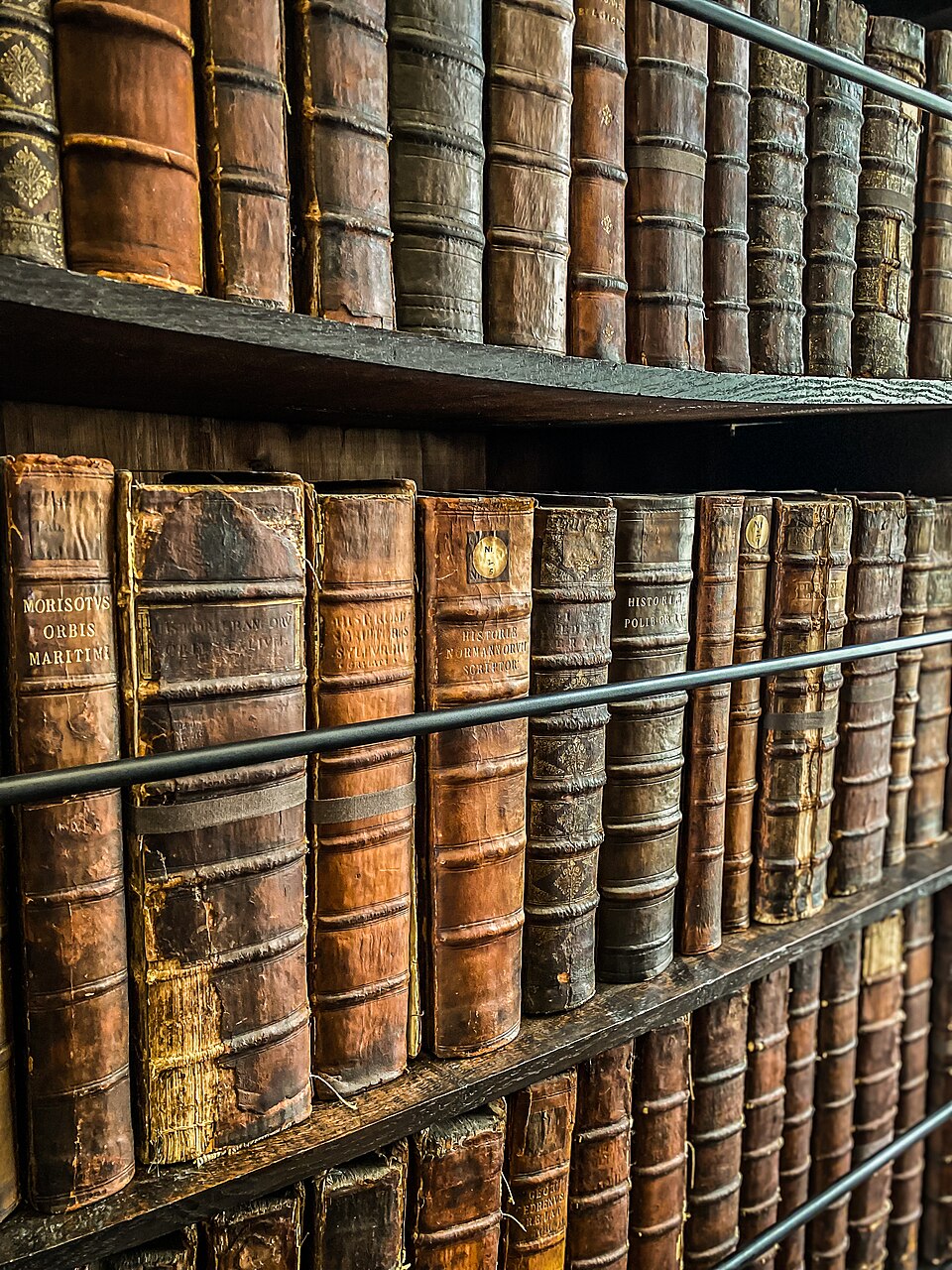 A photograph of Marsh's Library