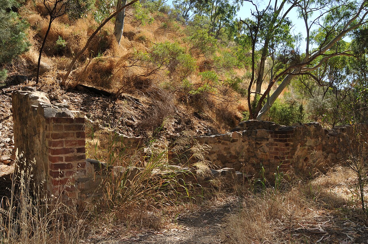 Black Hill Conservation Park の写真