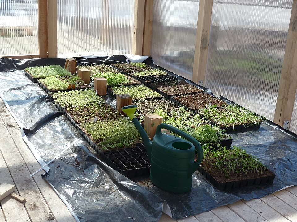 A photograph of Urban garden