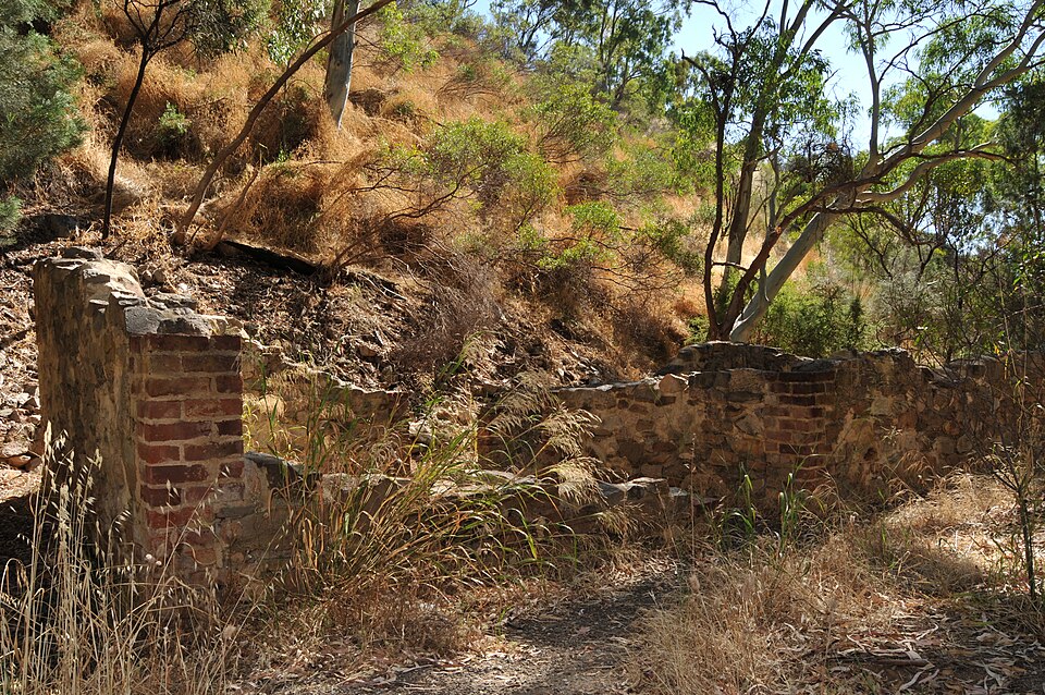 A photograph of Black Hill Conservation Park
