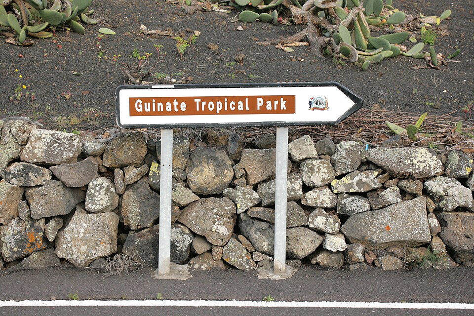 A photograph of Tropical Park