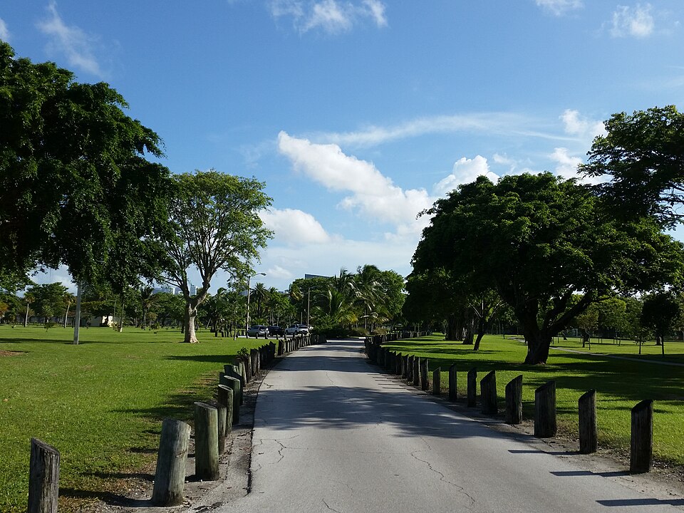 A photograph of Morningside Park