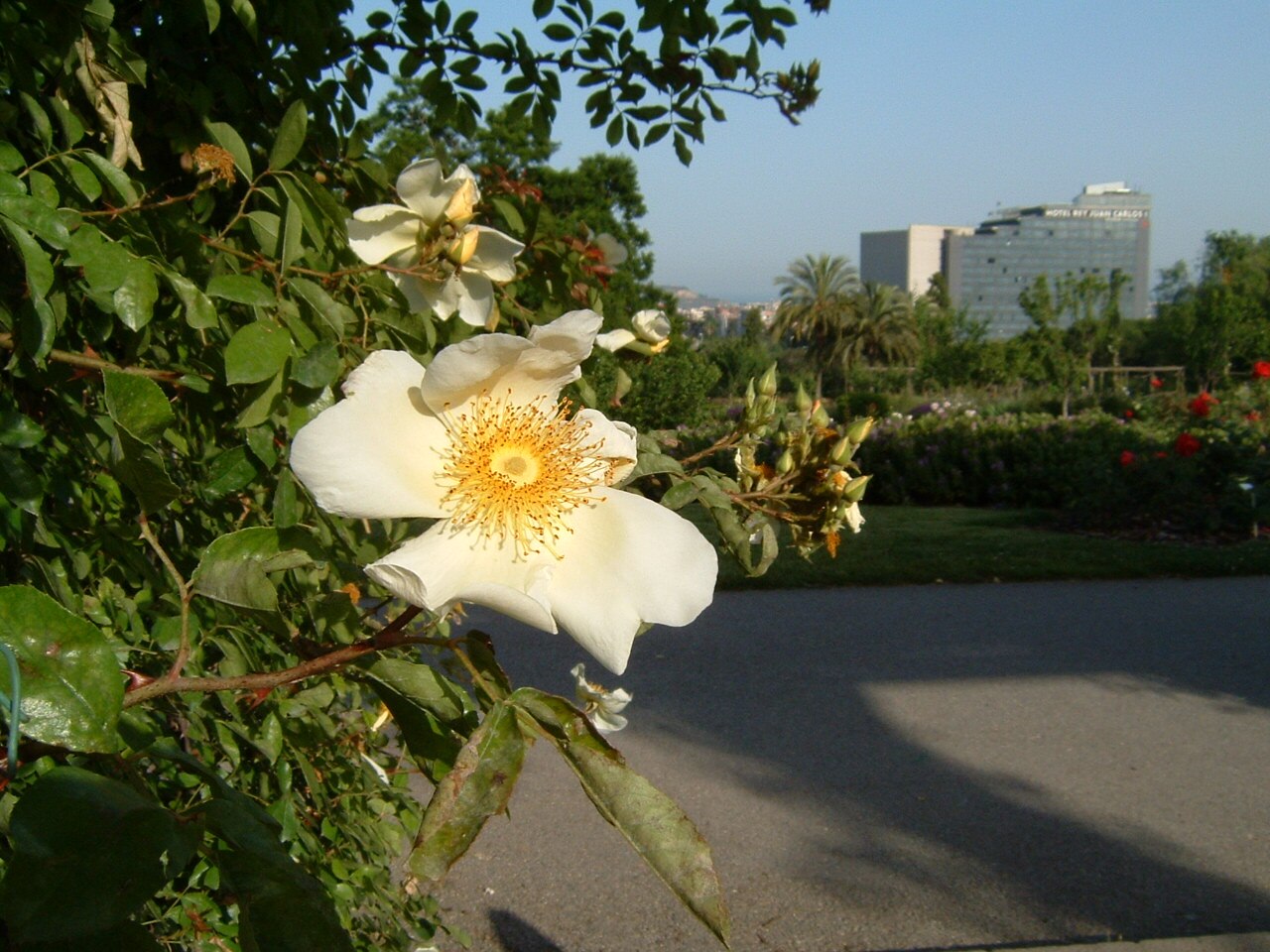 Ein Foto von Parc de Cervantes