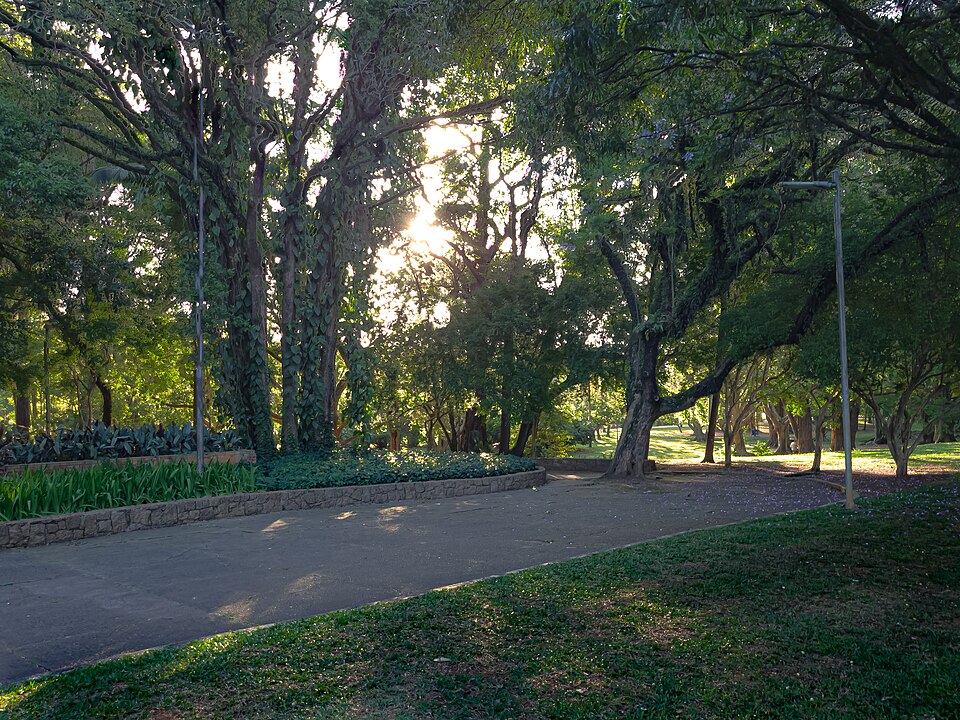 A photograph of Ibirapuera Park