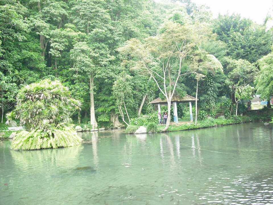 A photograph of Darma