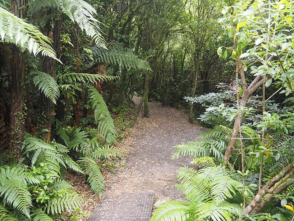 A photograph of Cannon Point
