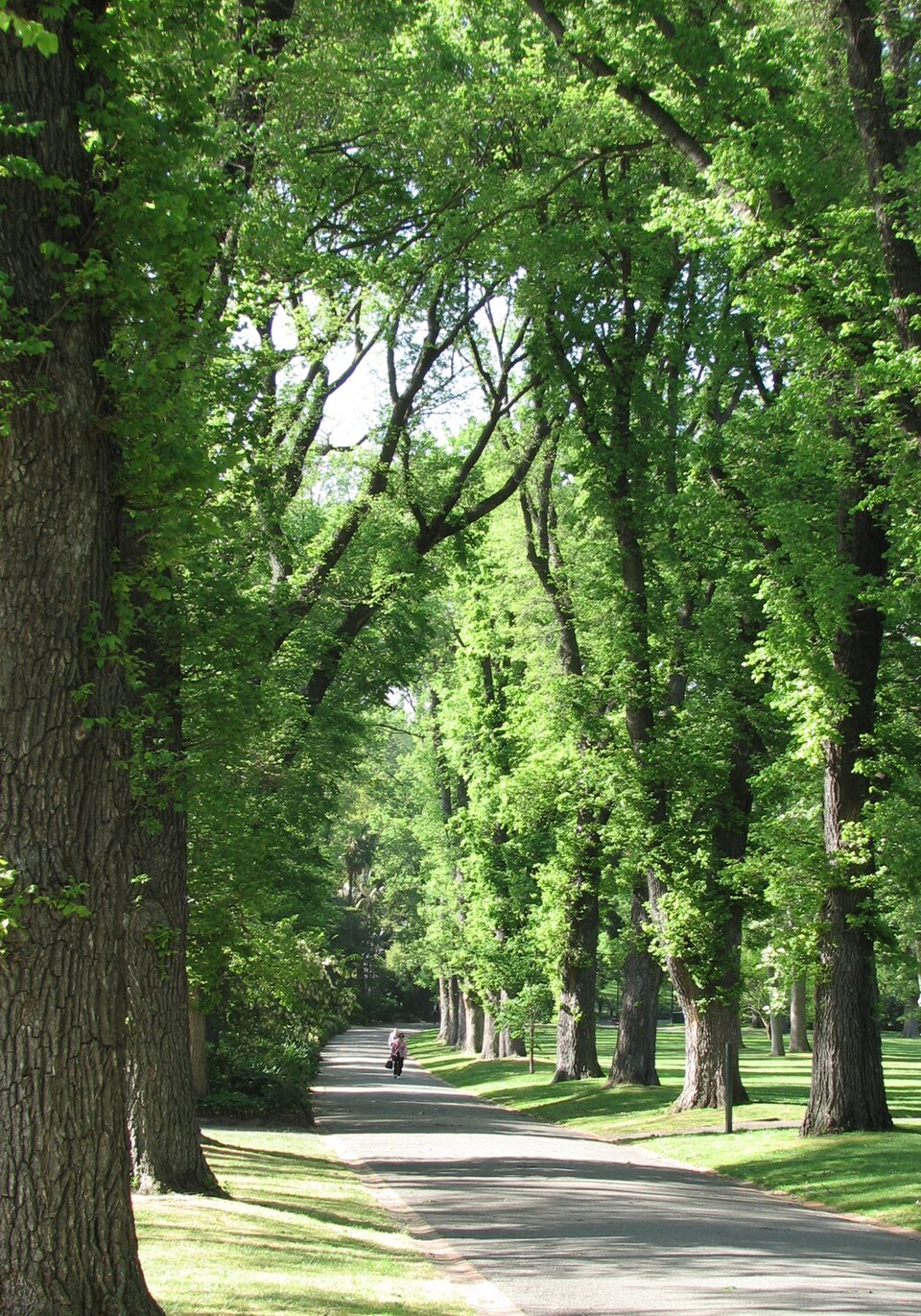 Fitzroy Gardens