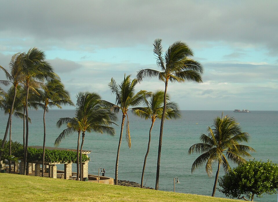 A photograph of Kakaako Waterfront Park