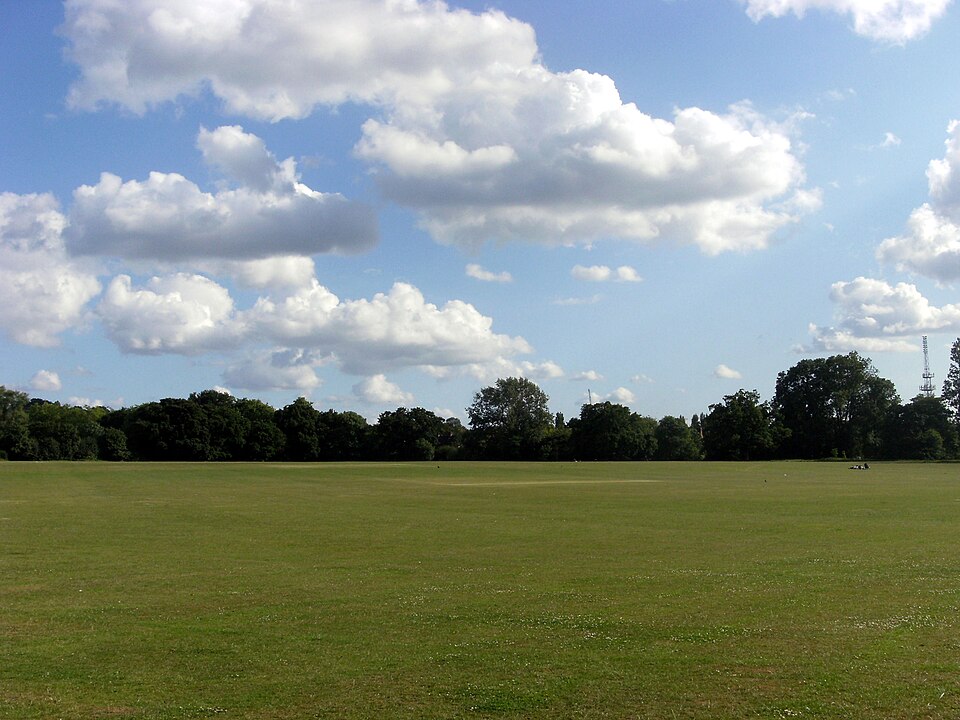 A photograph of Hampstead Heath