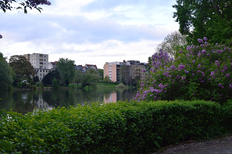 A photograph of Lietzensee