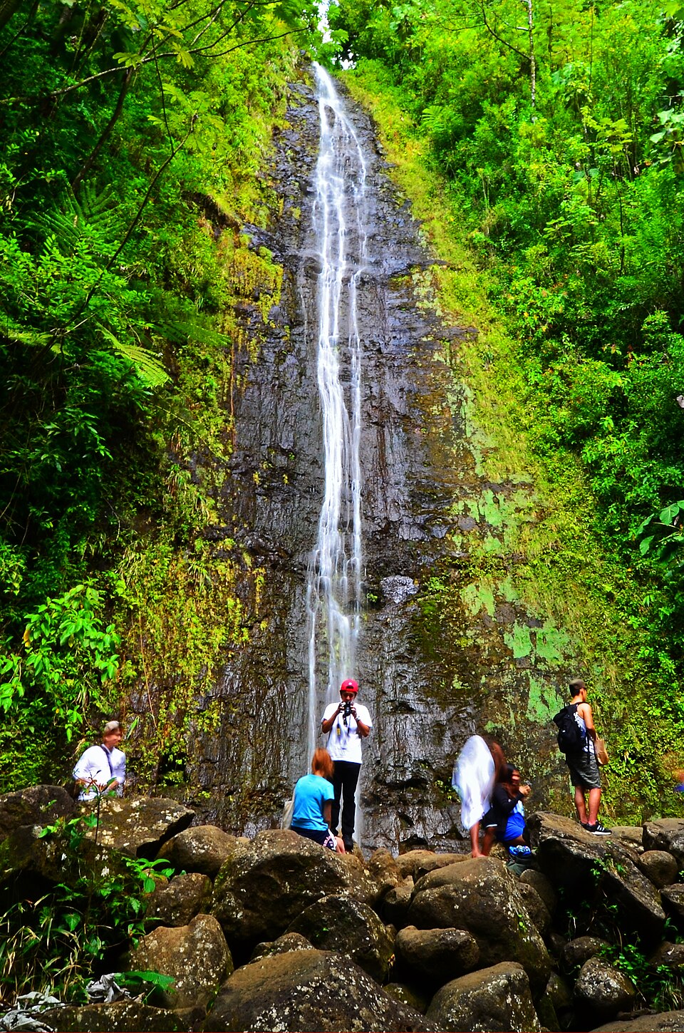 A photograph of Manoa Falls
