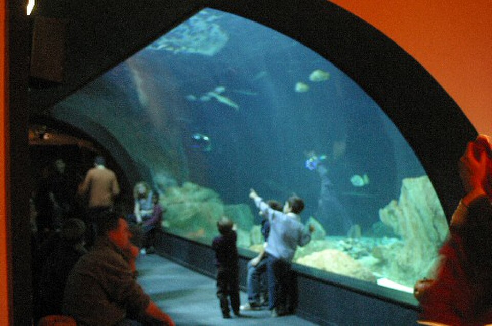 A photograph of Aquarium de Paris