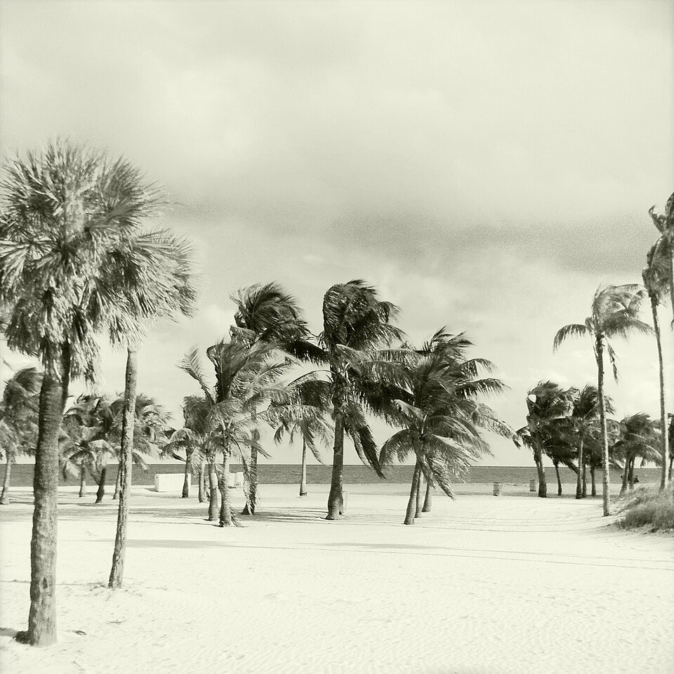 A photograph of Crandon Park