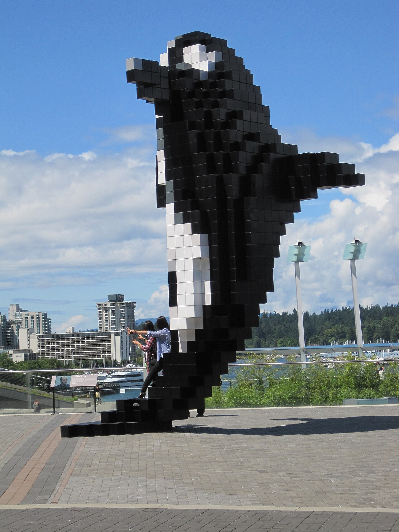A photograph of Digital Orca