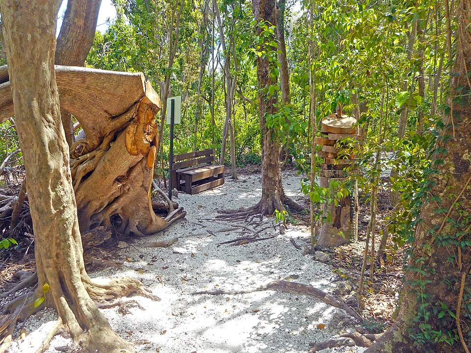 A photograph of Simpson Park Hammock
