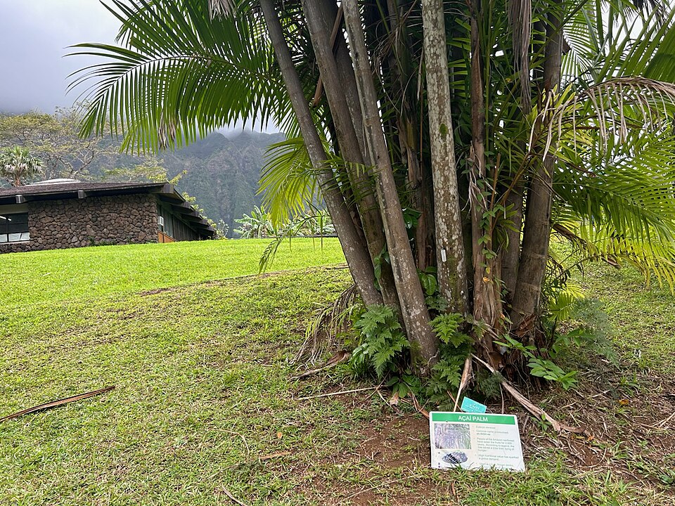 A photograph of Ho'omaluhia Botanical Garden