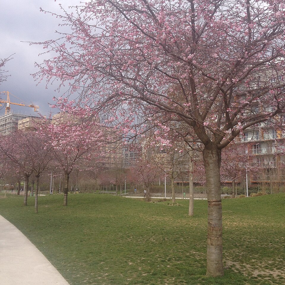 A photograph of Parc Clichy-Batignolles