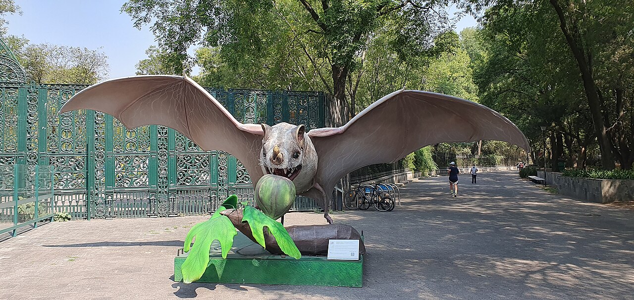 Une photographie de Chapultepec Zoo