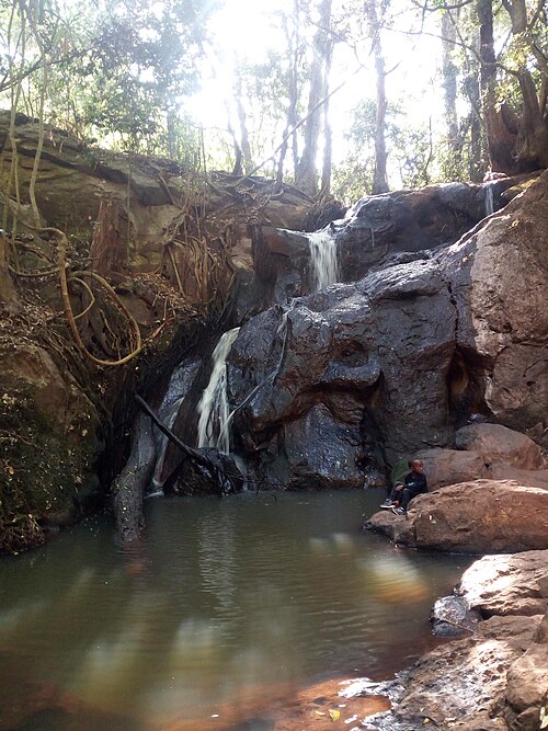 Karura Forest