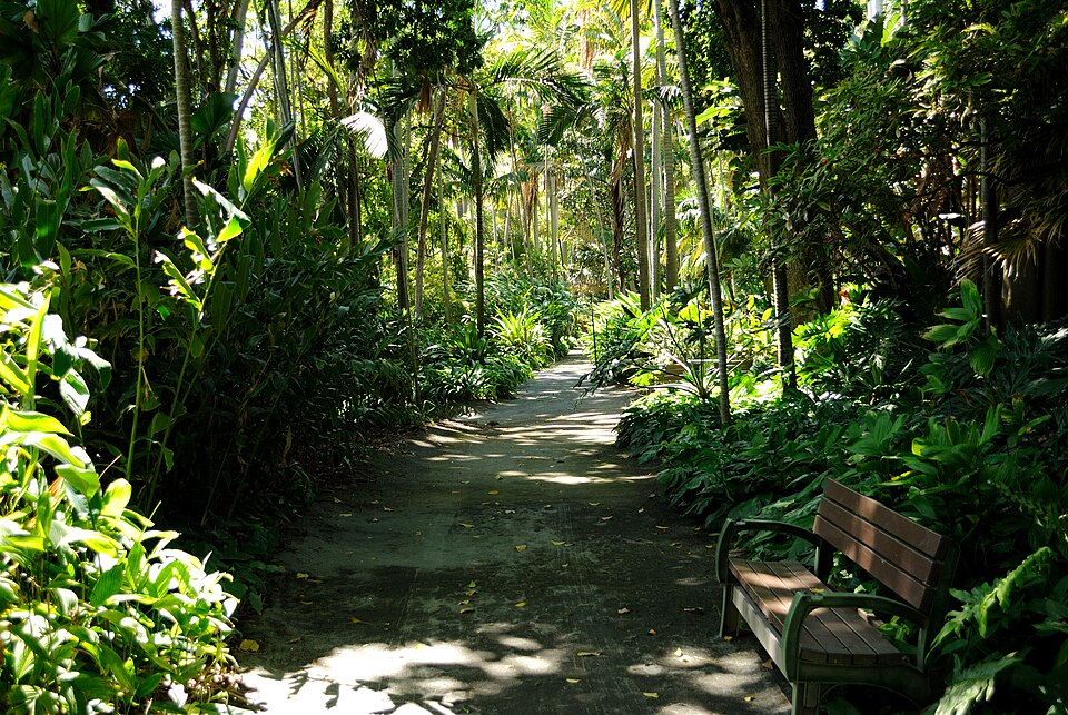 A photograph of Foster Botanical Garden