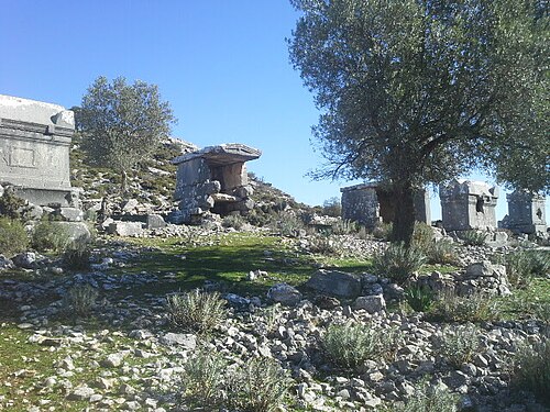 Sidyma