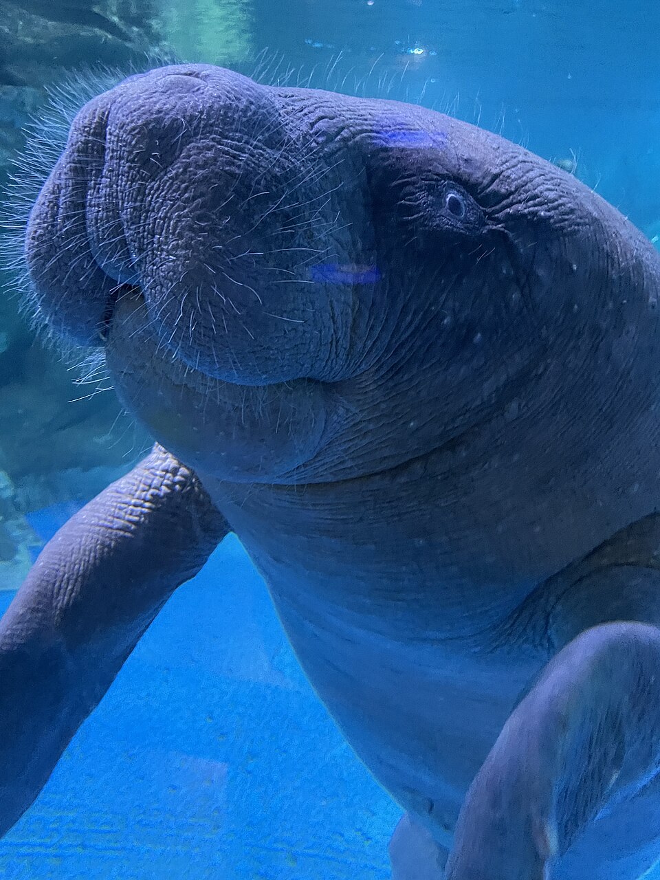 A photograph of COEX Aquarium
