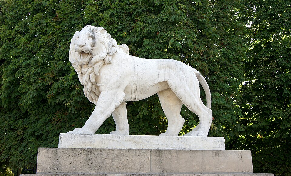 A photograph of Lion