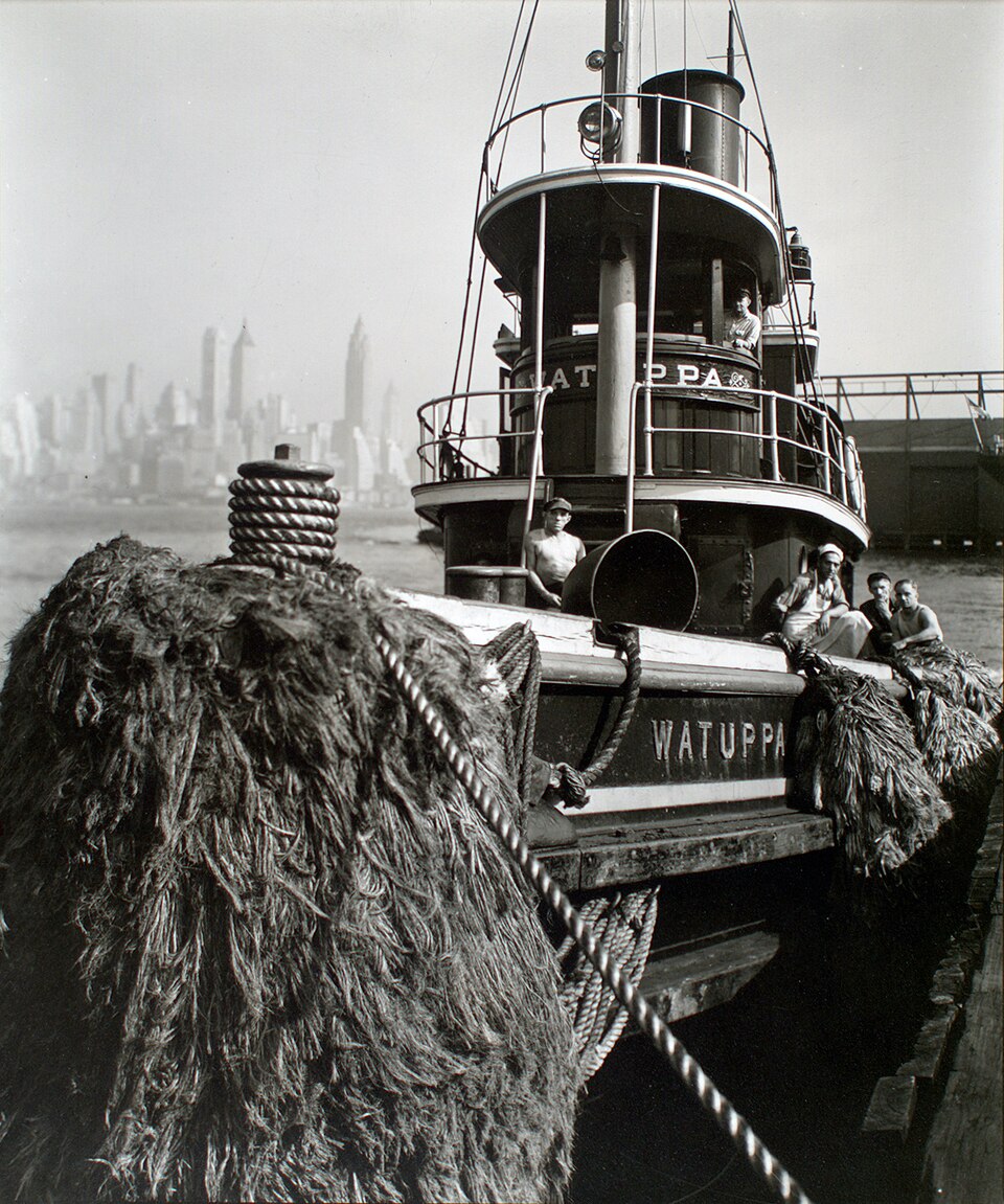 A photograph of Brooklyn Bridge Park