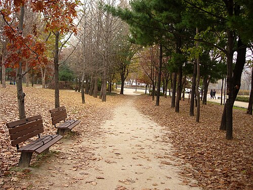 서울숲