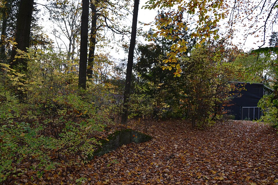 A photograph of Naturtheater Friedrichshagen